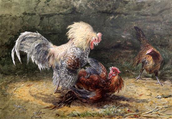 George Hickin (fl.1858-1877) Fighting cocks, 12.5 x 18.5in.